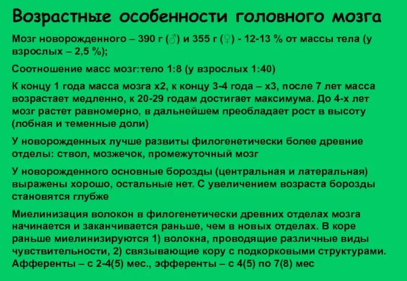 Возрастные особенности развития головного мозга. Возрастные особенности строения и функционирования головного мозга. Строение головного мозга, возрастные особенности.. Возрастные особенности отделов головного мозга. Возрастные изменения мозга