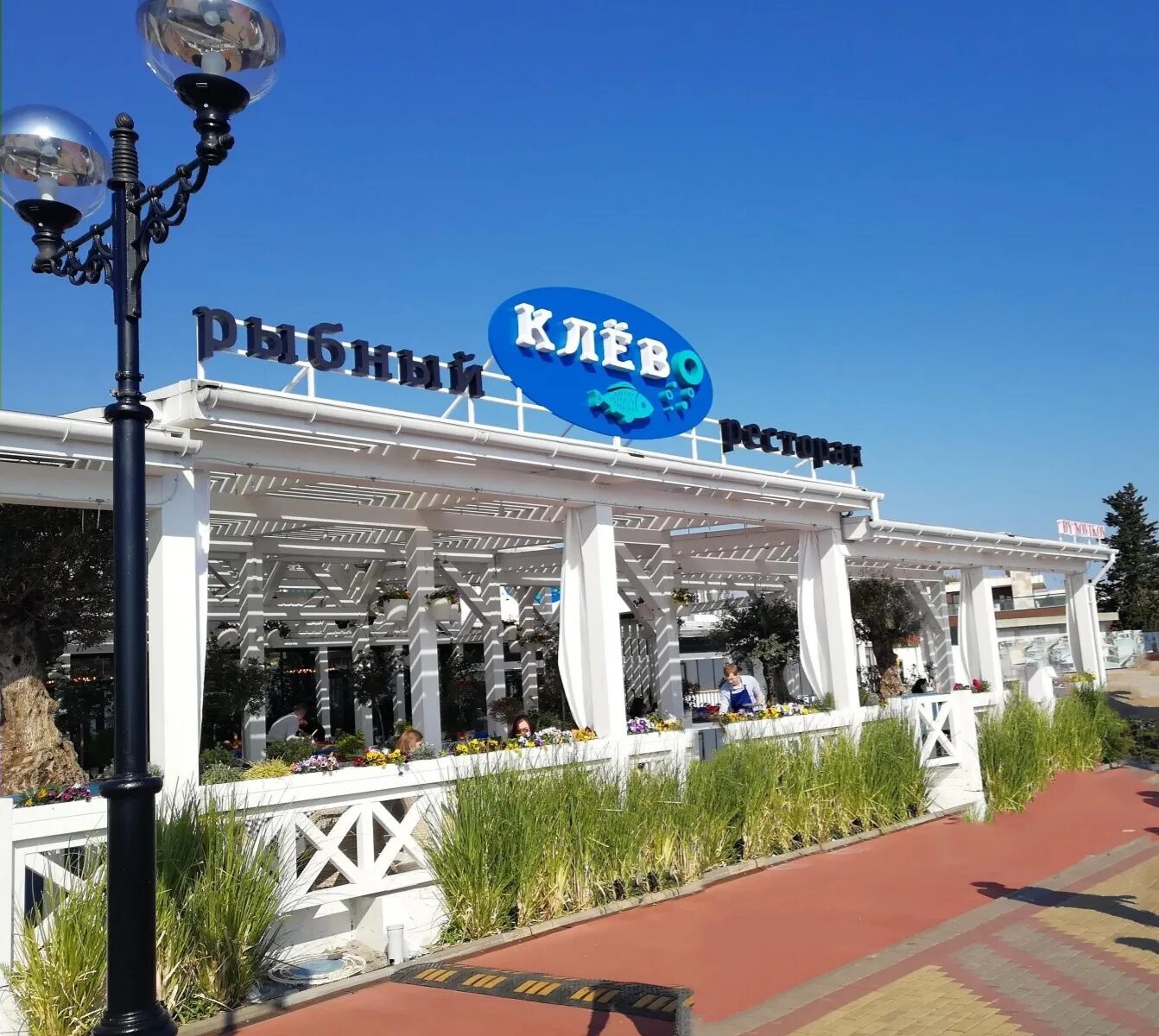 Рыбное сочи. Рыбалка в сочи на море. Морская рыбалка сочи адлер. Морепродукты в лазаревском рынок. Ставрида черноморская черное море.