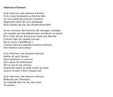 Текст песни amour plastique