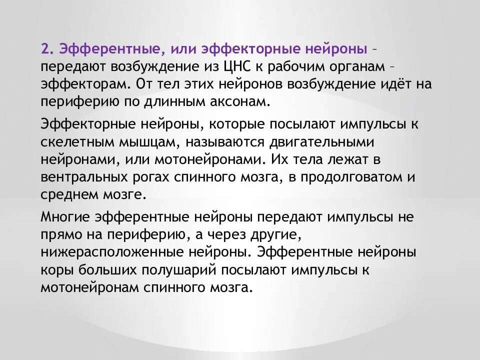 Эфферентными называются нейроны. Эффекторные нейроны. эффекторные и эфферентные нейроны. ассоциативные и эффекторные нейроны. эфферентные нейроны это нейроны.