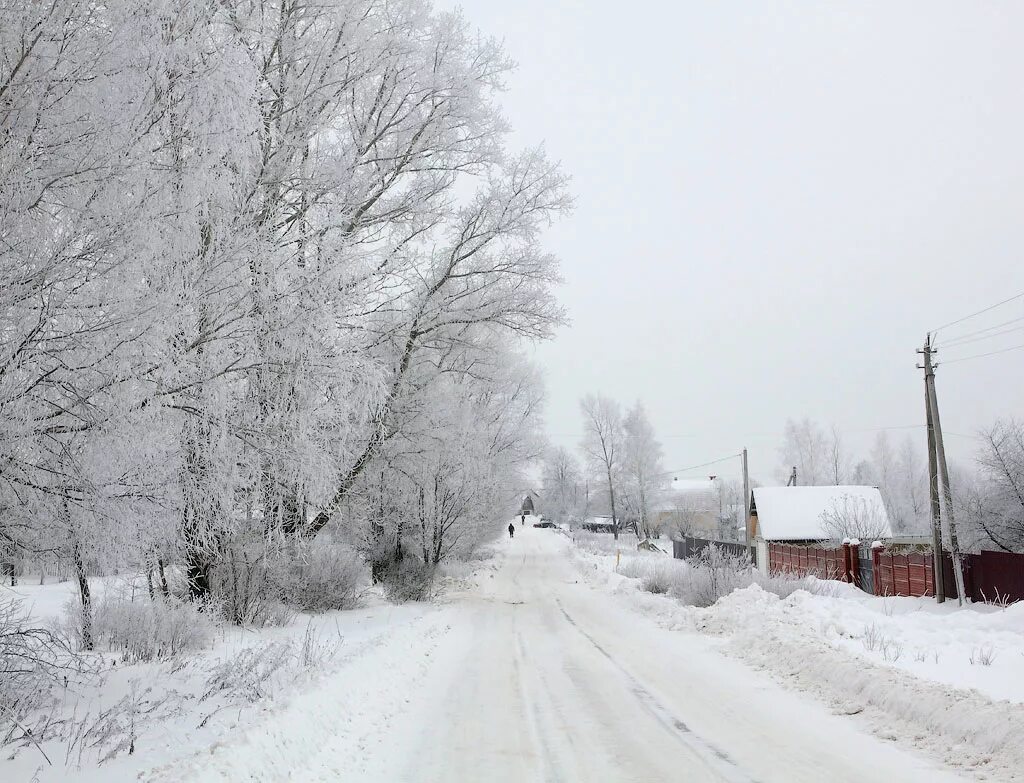 Погода яхрома сегодня