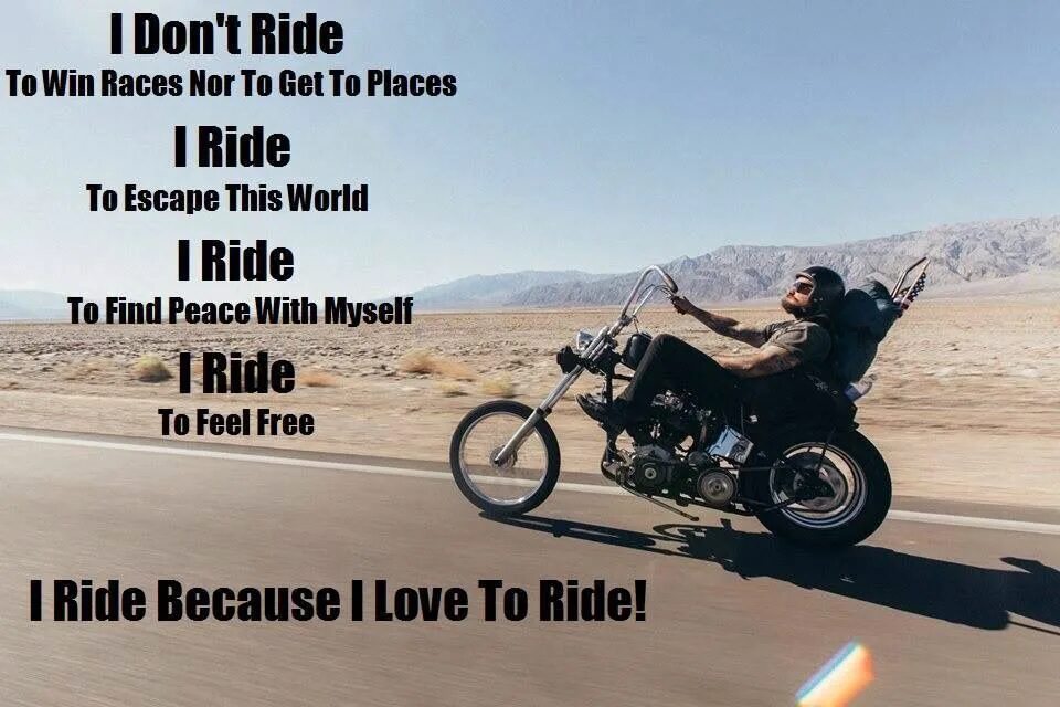 Goldmine мотоцикл. I don't Ride my Bike to win Races. Go went gone Ride Rode ridden. Don't Touch my Motorcycle. Be ride перевод