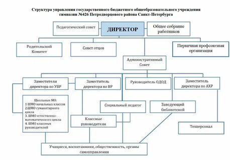 Органы управления образовательной организацией. - Школа элисты