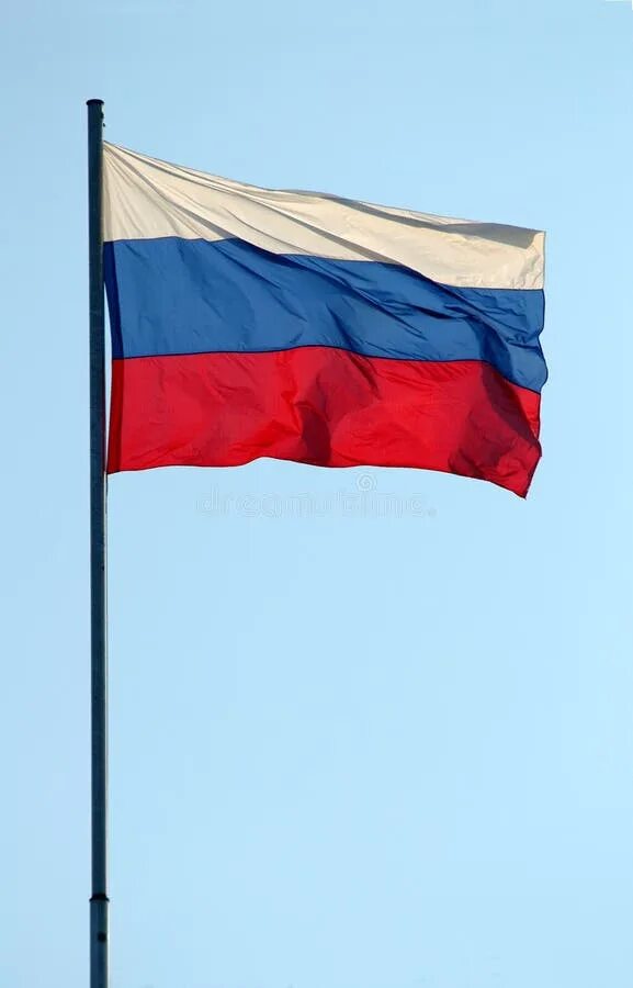 Покажи фото русского флага Музыкальная гостиная "Флаг России" 2021, Старооскольский район дата и место пр