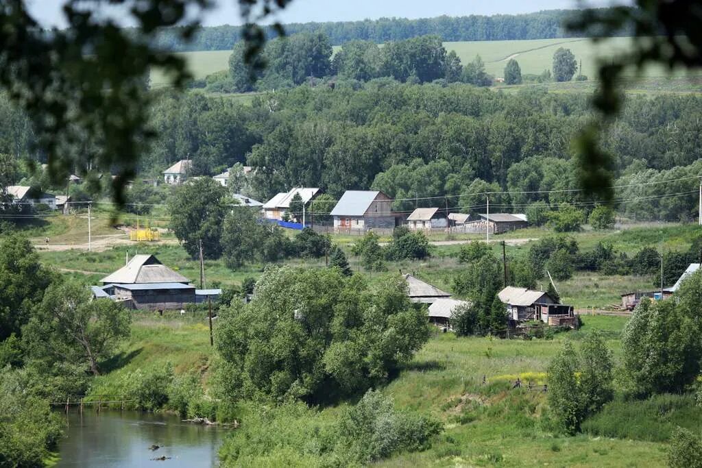 Погода в плотниково алтайский край косихинский. Деревня Косиха Алтайский край. Село верх Жилино Косихинский район Алтайский край. Природа село Косиха Алтайский край.