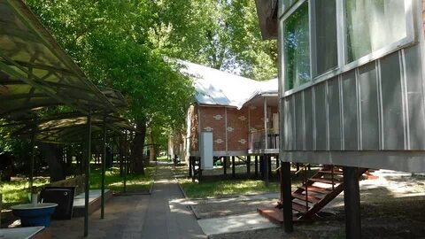 Зеленый остров отзывы