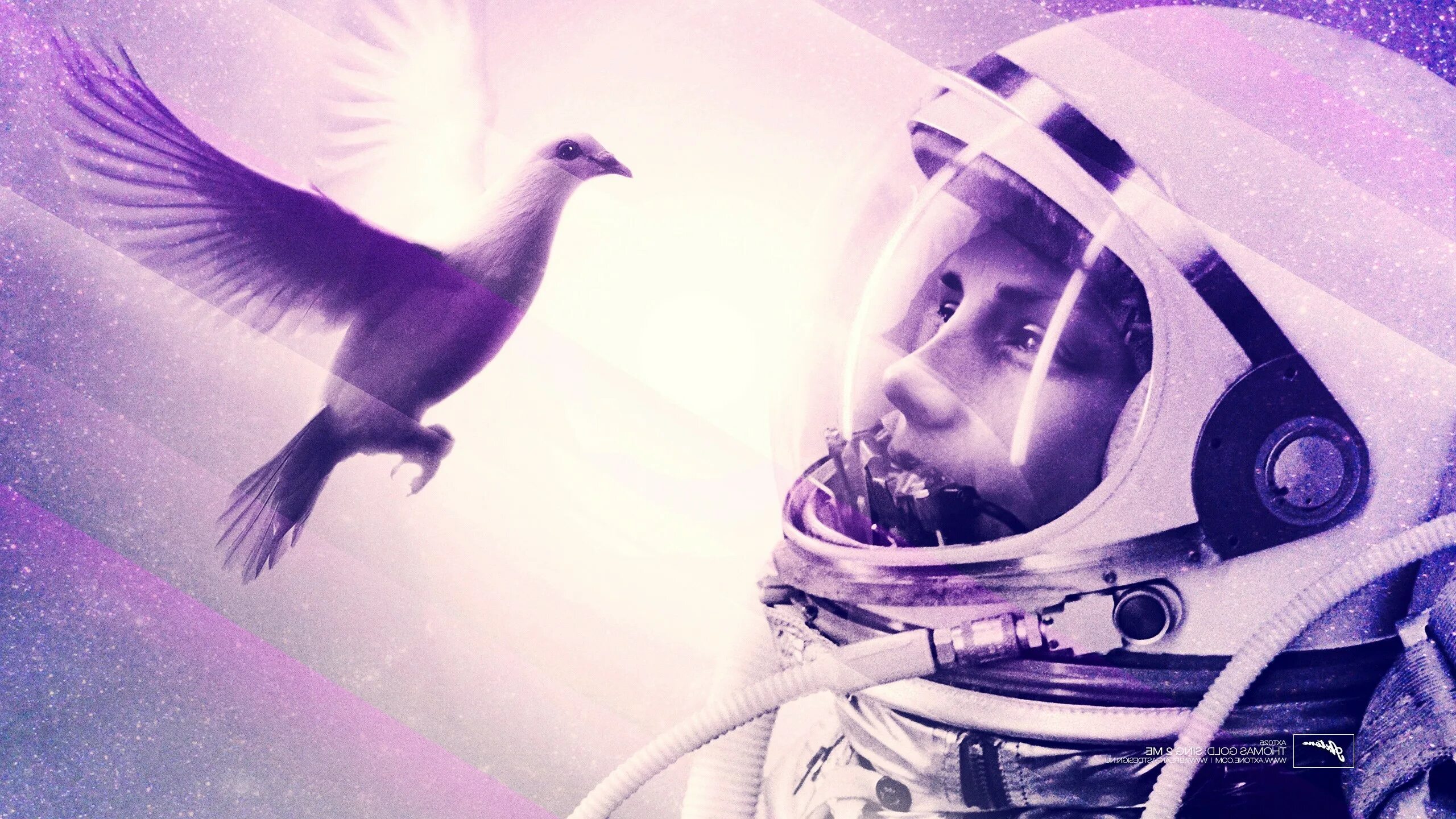 Мы летим через космос. Птица в космосе. Космонавт в космосе. Птица в скафандре. Мы и космос.