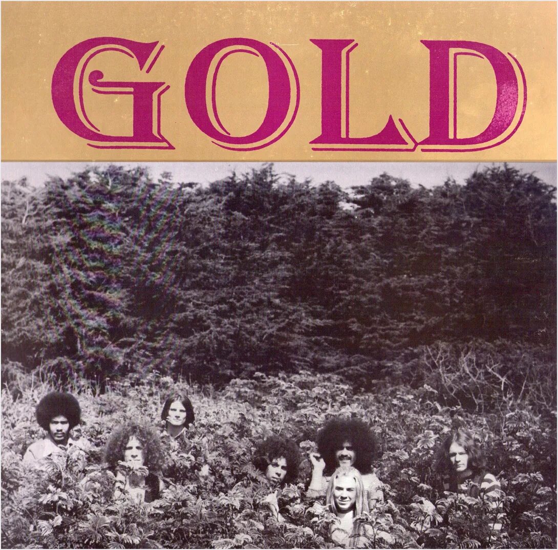 DVD золото 1969. Gold Mission Rock - 1971 (Live). Good for Gold (1996). Solid Gold Soul 1971 (1996).