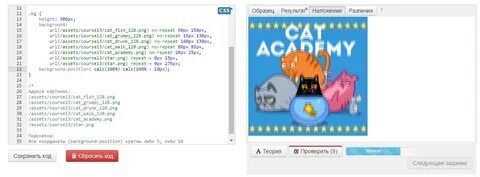 Cat academy
