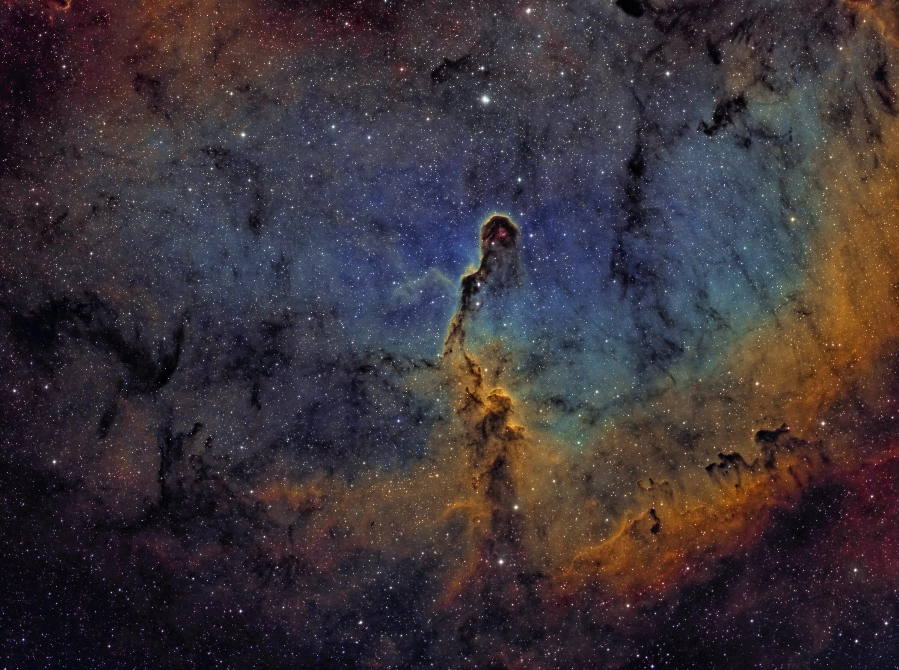 Космическая фотосессия. Девушка с другой планеты. Туманность ic 1396. Девушка вселенная. Космический глаз.