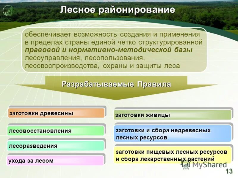 Виды районирования. Лесозащитное районирование. Лесохозяйственное районирование. Лесное районирование.