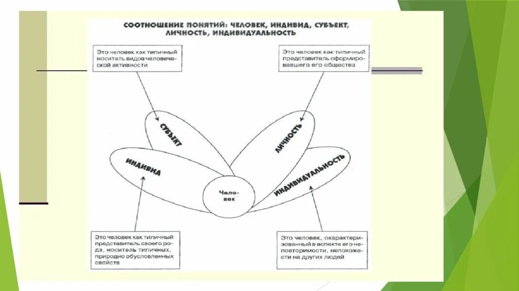 Взаимосвязь понятий индивид индивидуальность личность. Схема личность индивид индивидуальность человек. Схема соотношение понятий человек индивид личность индивидуальность. Схема с понятиями индивид личность человек индивидуальность.