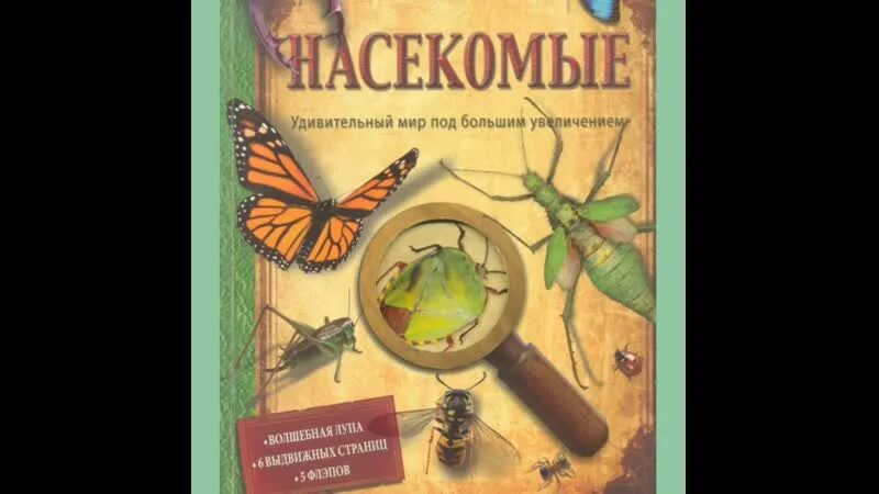 Доисторический мир книга. Энциклопедия тайн и загадок. Энциклопедия чудес загадок и тайн. Больше тайн и загадок. Исторические загадки.