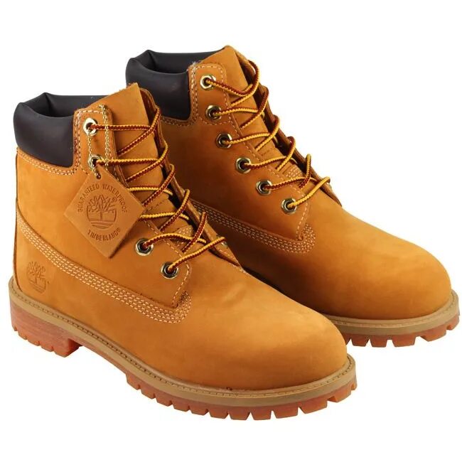 Название модной обуви на зиму. Ботинки женские зимние названия. Виды зимней обуви. Зимние ботинки название. Ботинки женские зимние названия.