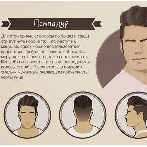 Как объяснить парикмахеру какую стрижку. Схема стрижки помпадур. мужская стрижка помпадур схема стрижки. стрижка фейд мужская схема и описание. как правильно объяснить мужскому мастеру какую стрижку я хочу.