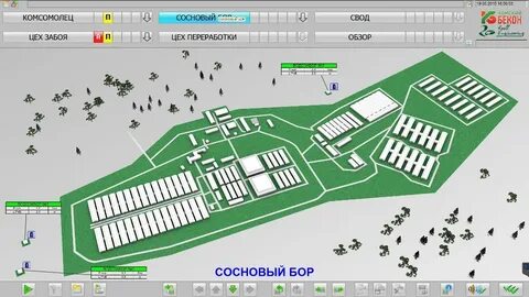 Камский бекон