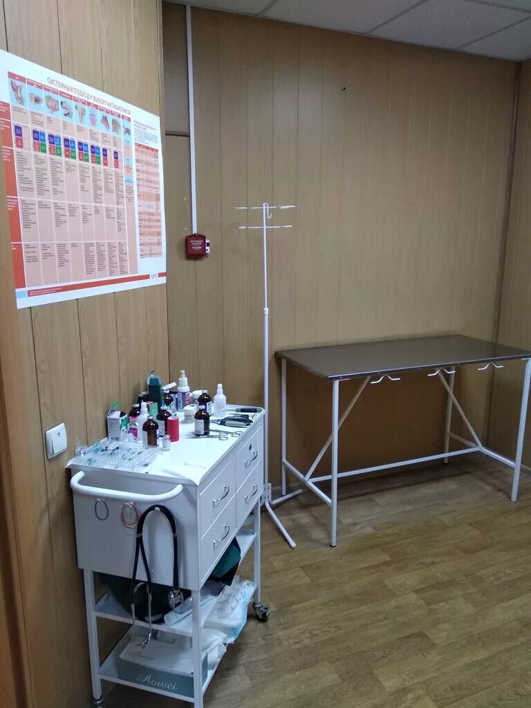 ветклиника электросталь юбилейная. ветеринарная клиника друг электросталь на николаева. ветклиника друг электросталь. ветклиника друг электросталь. ветеринарная клиника друг нижний новгород.