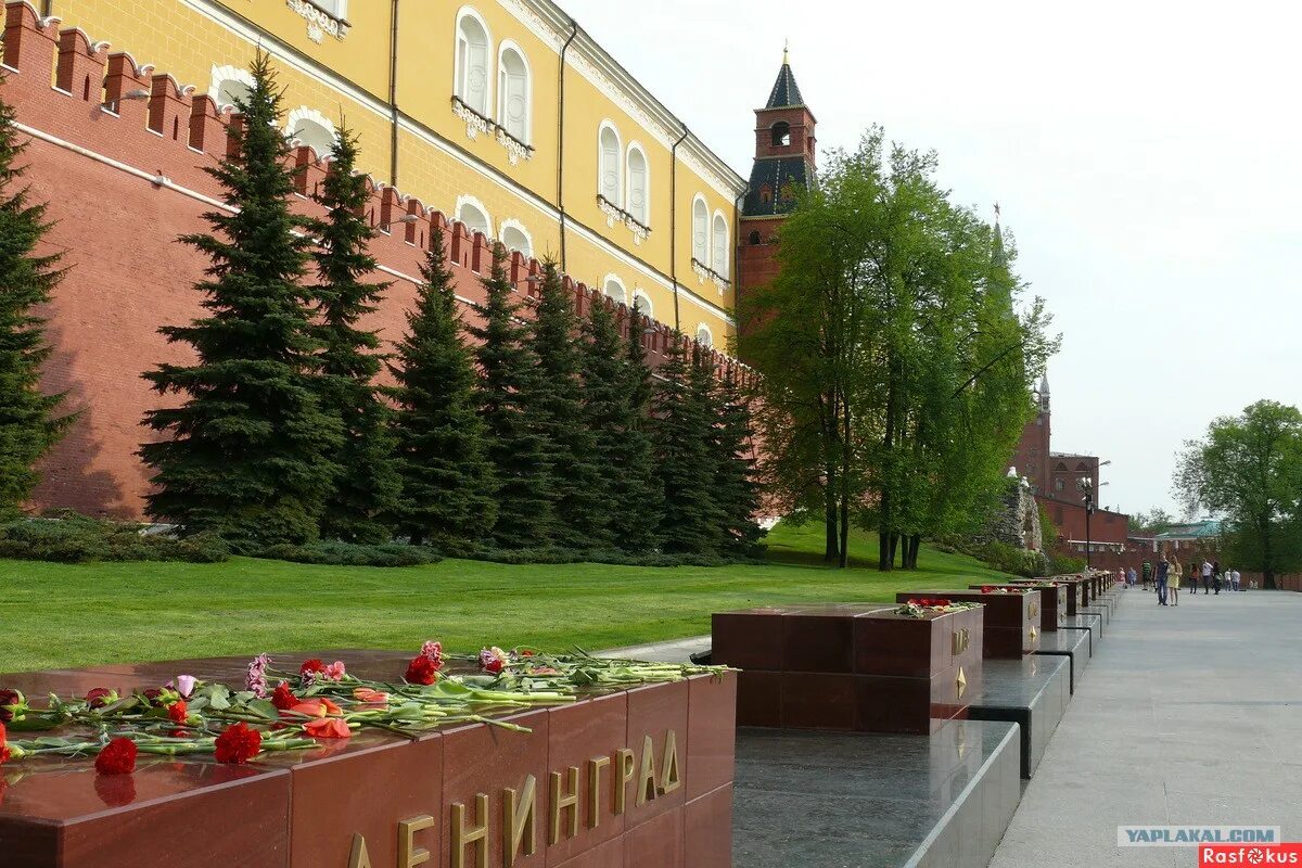 Вдоль кремлевской. Аллея городов героев в Москве в Александровском саду. Александровский сад мемориал города-герои Москва. Могила неизвестного солдата Москва и аллея городов героев. Александровский сад Москва города герои.