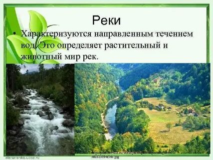 Экологическая система реки