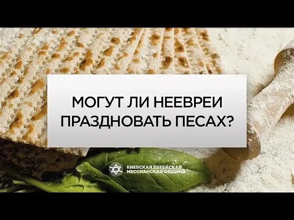 Что мы празднуем Песах Пасхет или Пасху. Правоверный празднующий песах 5 букв