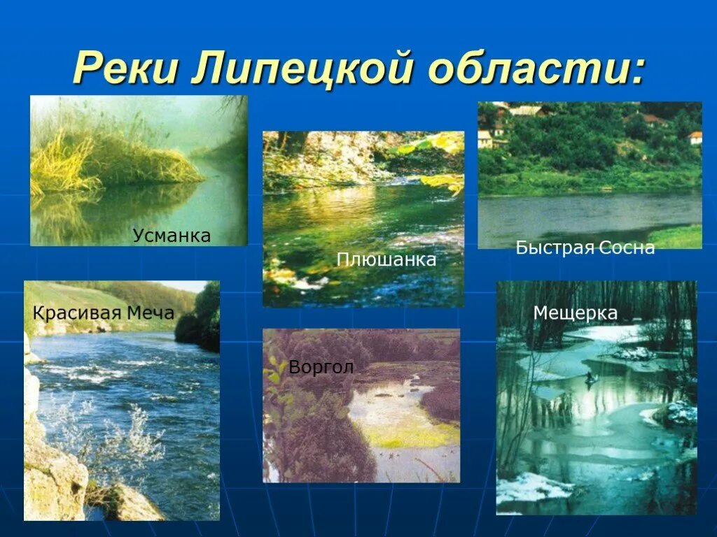 Оценка природных условий и ресурсов. Озера липецкого края. Природные условия и ресурсы липецка. Природные условия и ресурсы липецка. Природные богатства липецка.