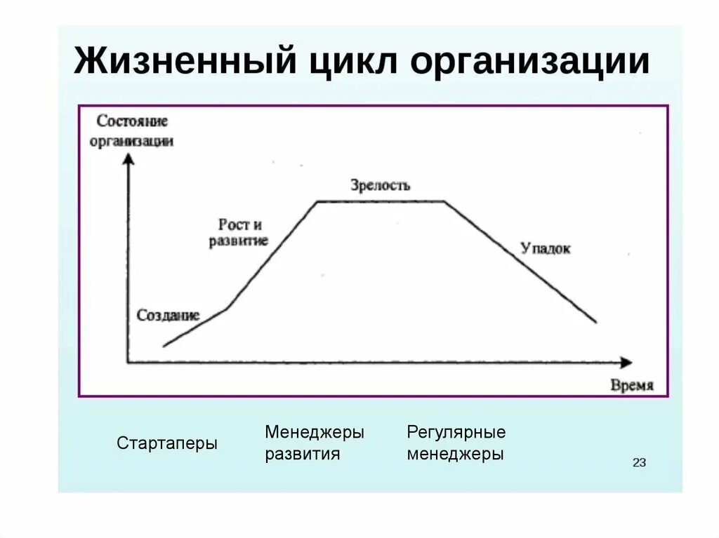 Стадии жизненного цикла компании. Фазы жизненного цикла организации. Стадии жизненного цикла предприятия. Этапы жизненного цикла фирмы.