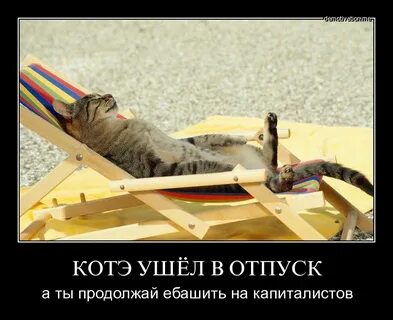 Первый день отпуска картинки смешные