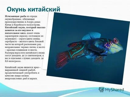 Значение окуня