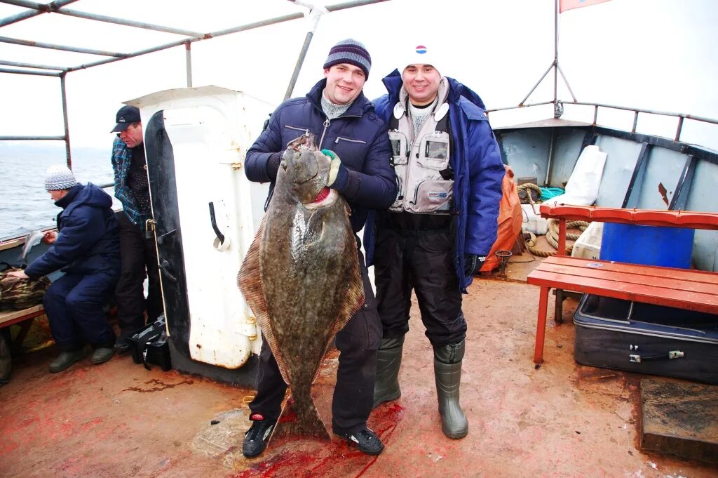 Мурманск Лиинахамари рыбалка. Морская рыбалка в Мурманске. Мурманские рыбаки в море. Рыбалка трески на Баренцевом море. Мурманск промысел