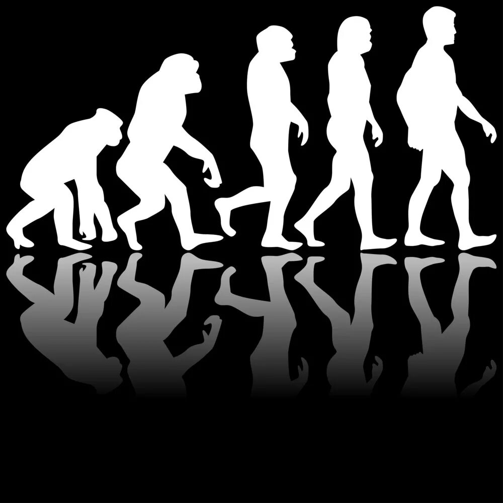 Эволюция человека картинки