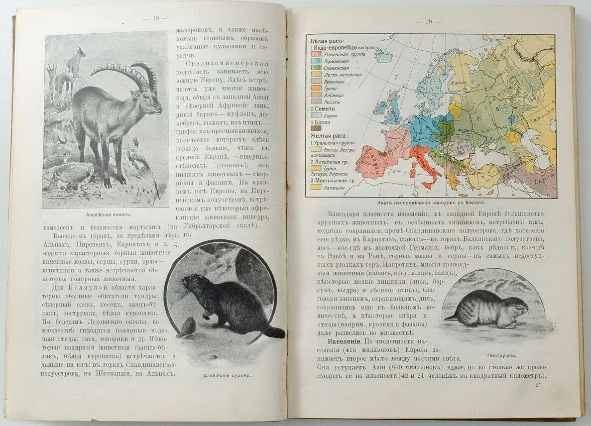 Учебник географии 1910 года. Учебники Российской империи. Российская Империя в учебнике географии 1910 года. Курс географии Европы для средних учебных заведений. 1910 Год..