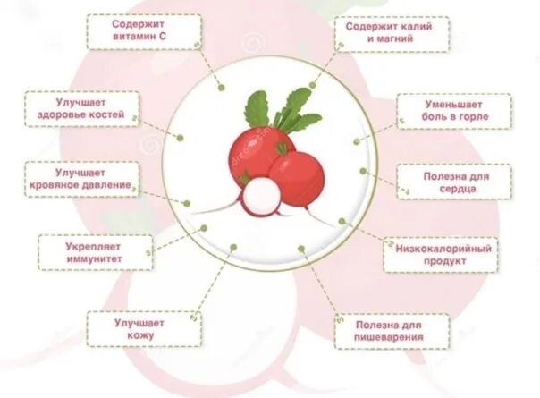 Чем полезна редиска для женщин. Редис витамины и микроэлементы. Чем полезна редиска. Для чего полезен редис. Полезные витамины в редиске.