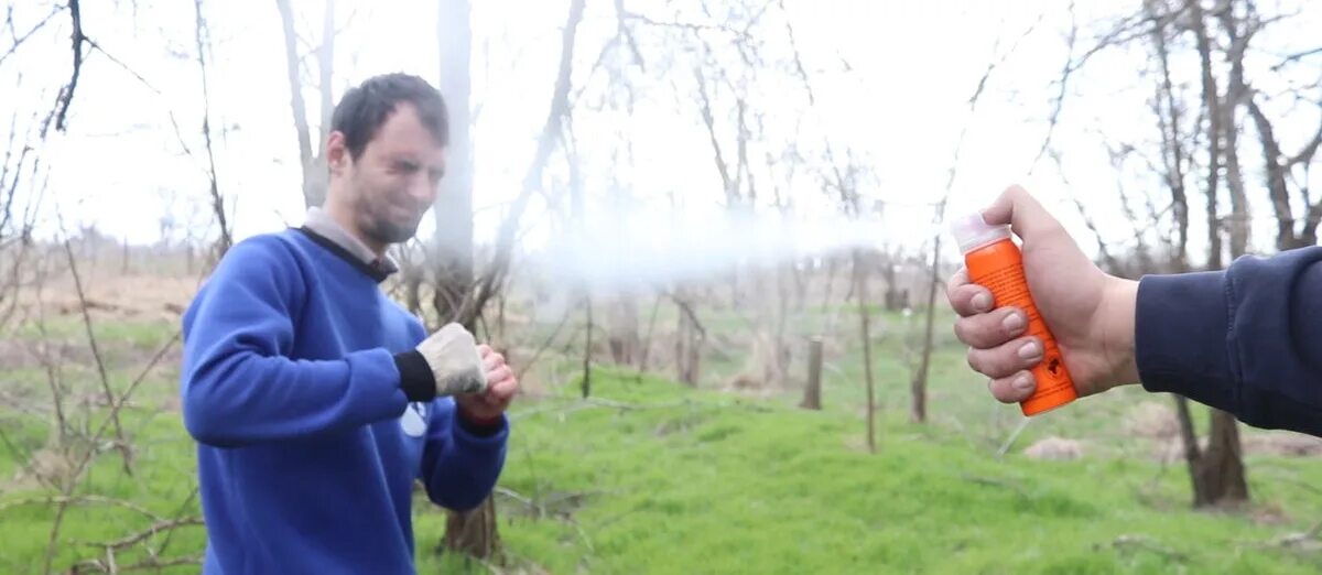 Перцовый баллончик шмель. Перцовый баллончик факел 2. Перцовый баллончик распыляет. Газовый баллончик в лицо. Как использовать газовый баллончик.