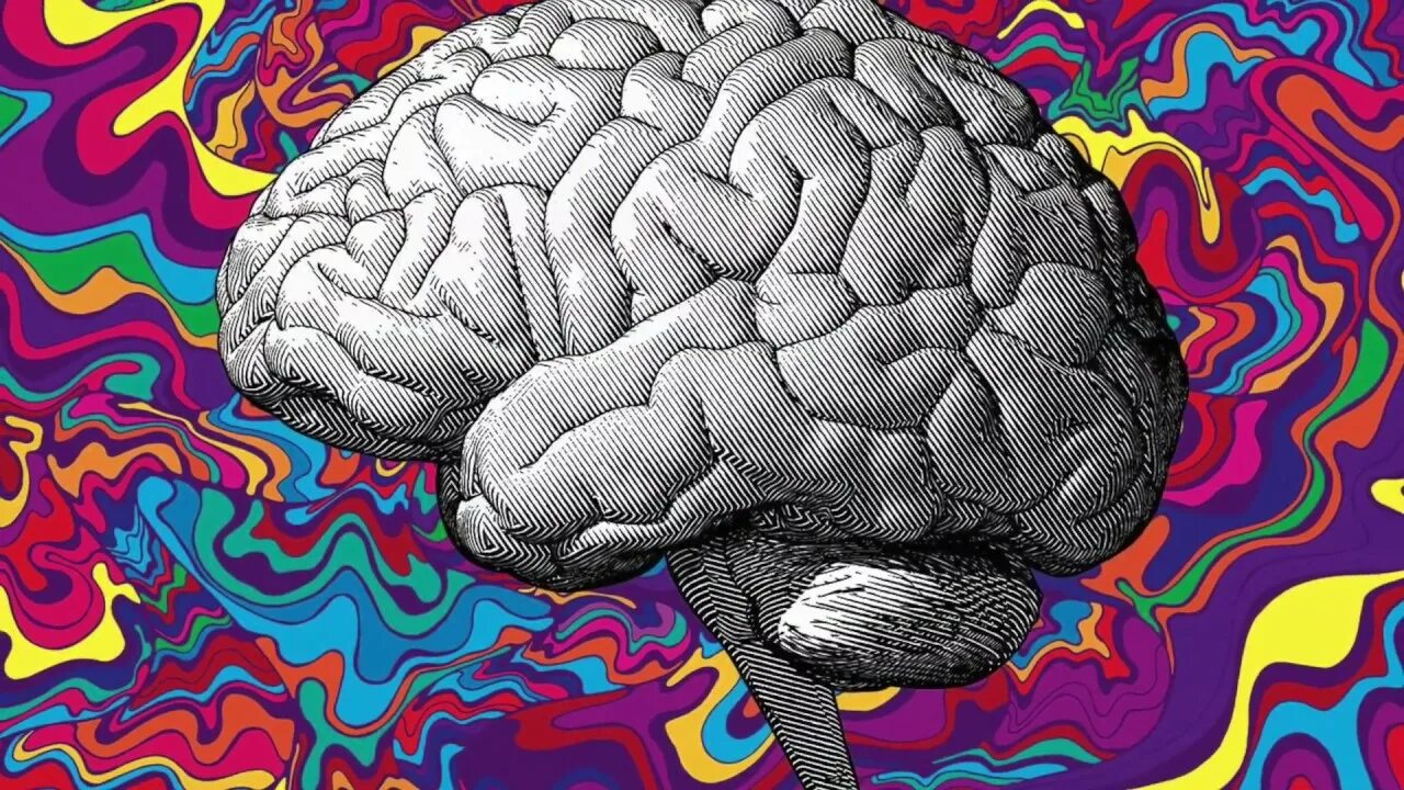 Brain 63. Мозг арт. Мозг психоделика. Красивый мозг. Мозг рисунок.