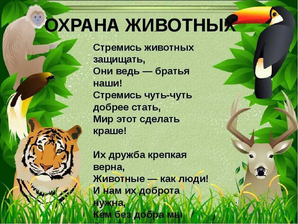 Охрана животных 3 класс окружающий мир тесты. Стих про охрану животных. стихи о защите животных. стихи о защите животных для детей. берегите животных стихи.