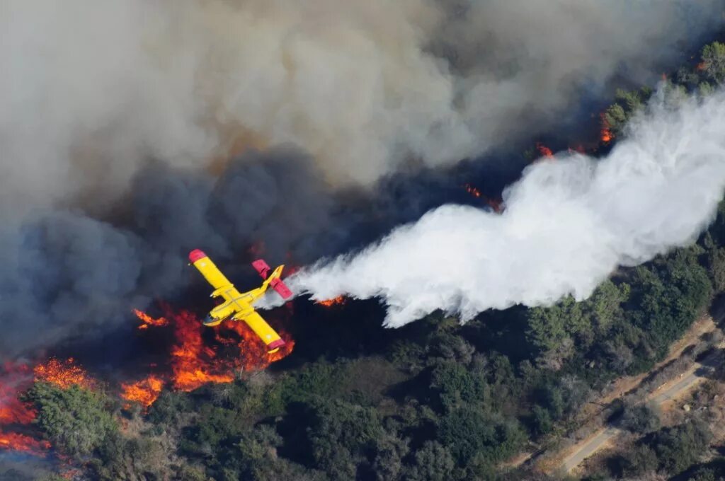 В каком году появились пожарные самолеты. Пожарный самолет. Пожарные тушат самолет. Самолет пожаротушения. Тушение лесных пожаров с воздуха.