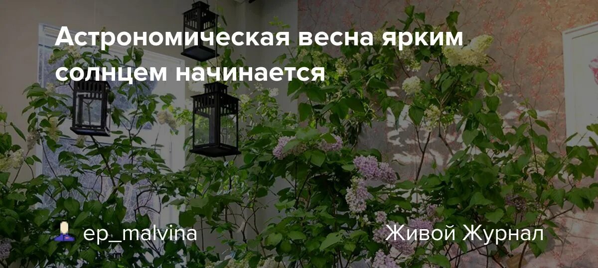 День весеннего равноденствия в 2023 году. Загадать желание в день весеннего равноденствия 2024