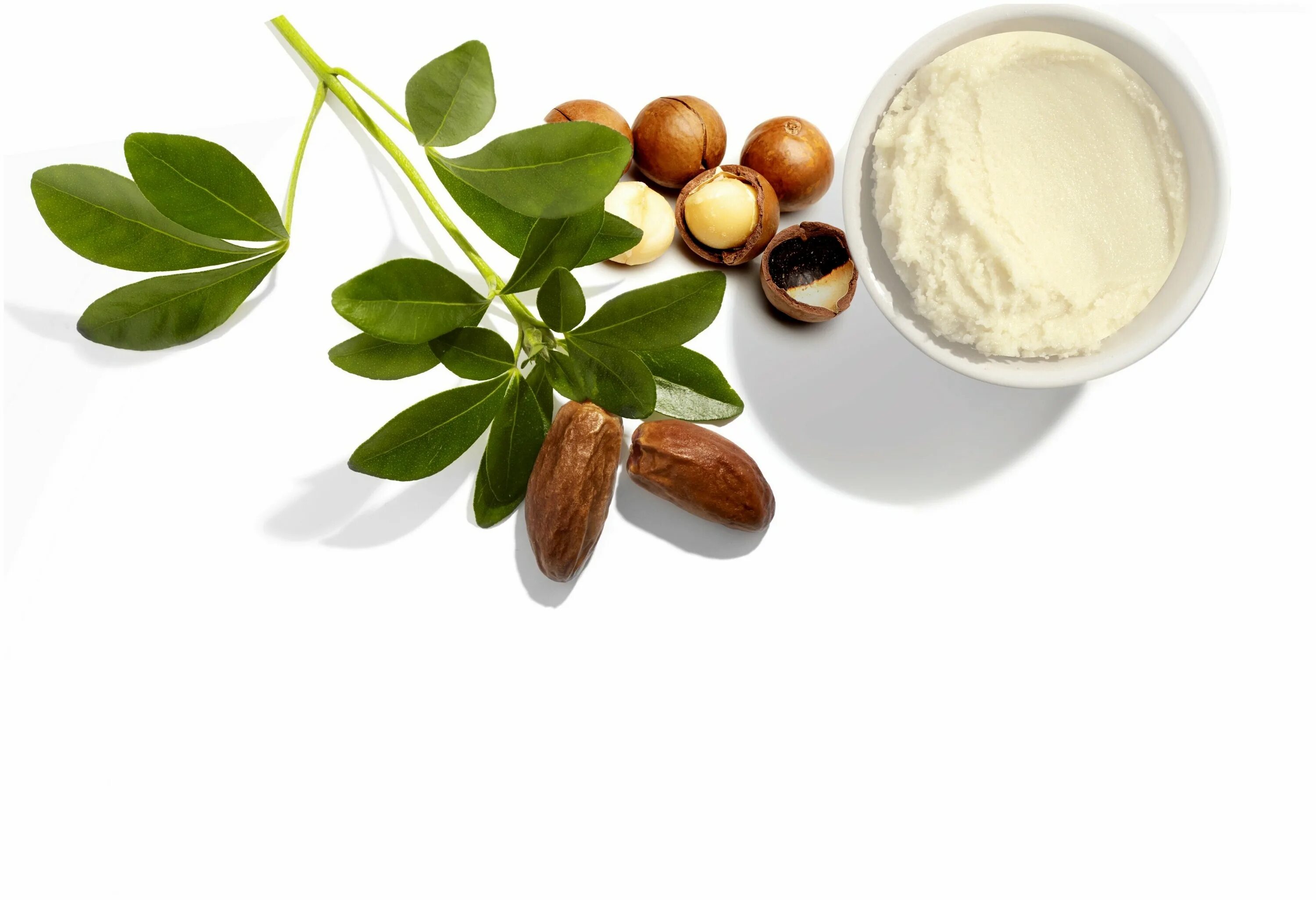 доктор санте шампунь макадамия. маска для лица с макадамией. масло органик шоп для лица с пипеткой. натуральное масло макадамия для лица. Diva дива увлажнение маска для лица тканевая.