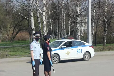 Снова гаи