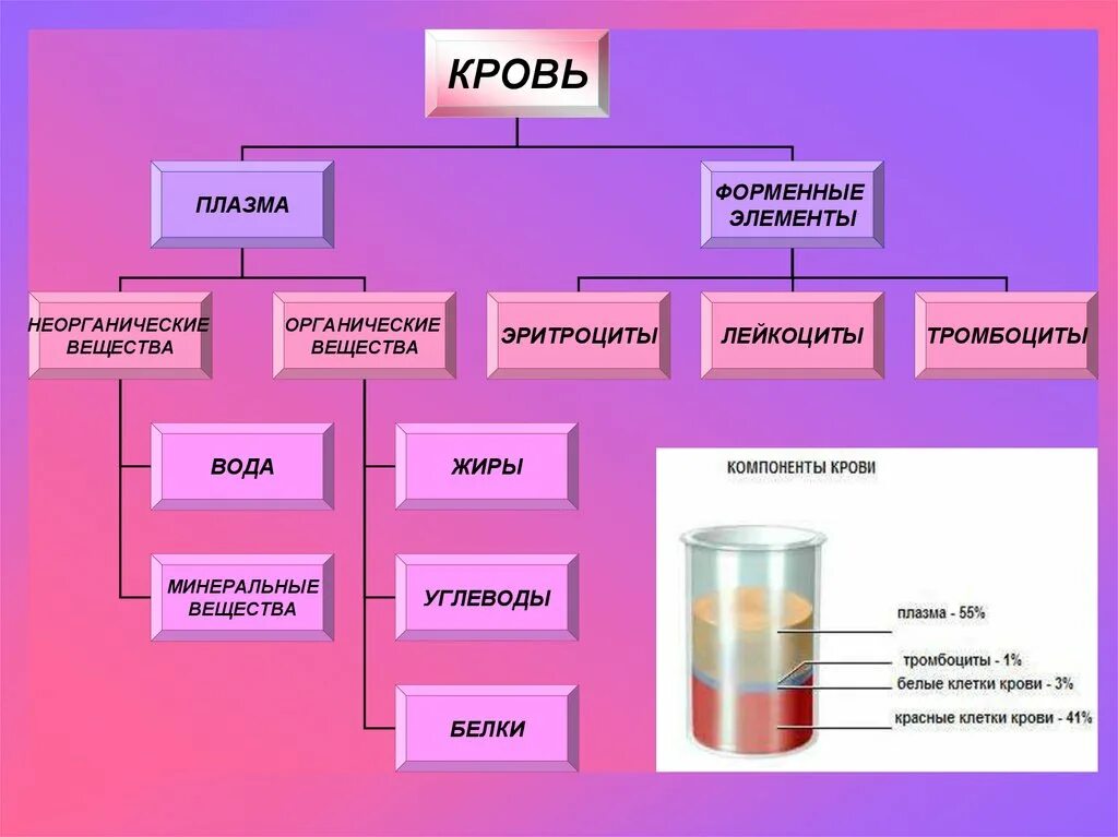 Что содержит плазма крови. Кровь делится на плазму и форменные элементы. Кровь плазма и форменные элементы таблица. Состав крови плазма и форменные элементы. Состав крови плазма крови форменные элементы.