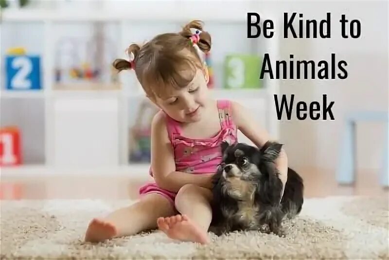 Kindness to animals. Kind картинка. Kind meaning. Be kind to animals. We should be kind to animals.