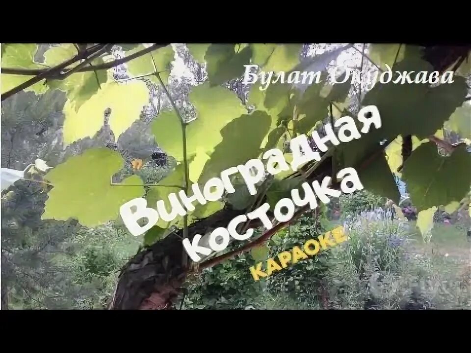 Виноградную косточку в теплую землю зарою ноты для гитары. Петь караоке шансон. Караоке для песни виноградная косточка. Виноградная косточка слова текст. Песню виноградная косточка караоке.