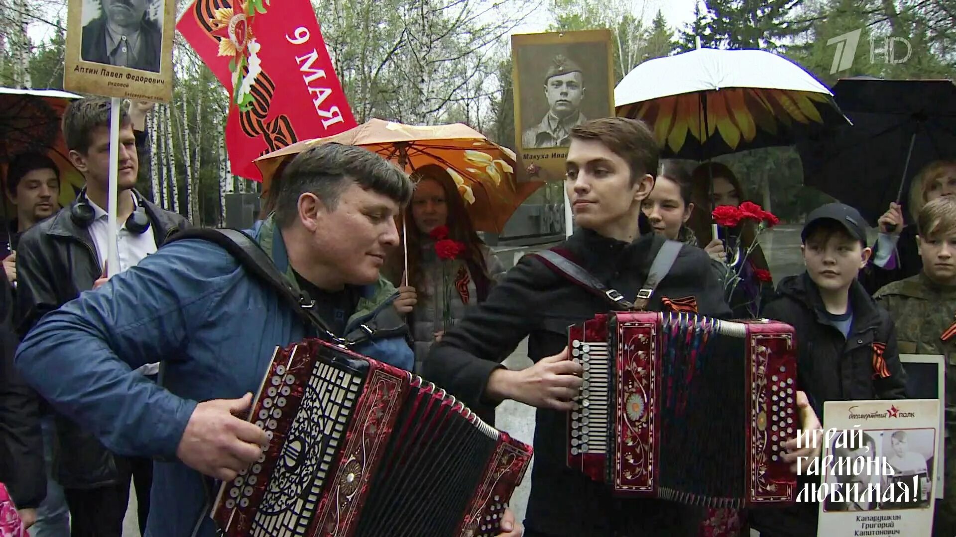 покажи играй гармонь