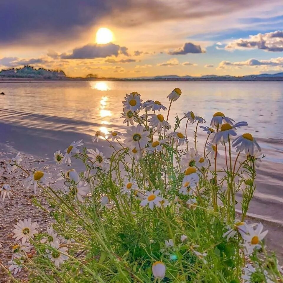 Утро на море. Солнце пляж. Завтрак на побережье. Утро на море. Лето пляж.