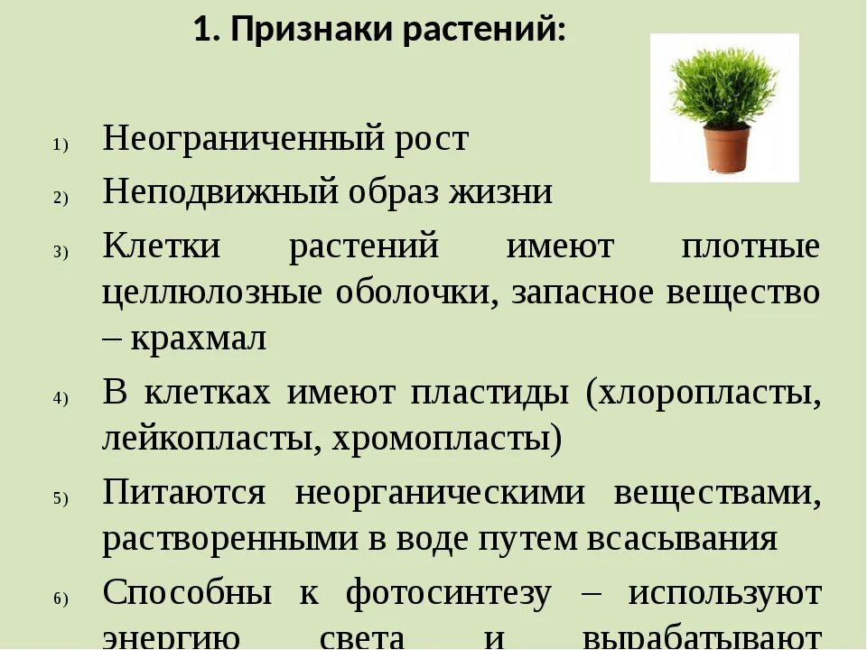 Основные свойства растения. Особенности царства растений 5 класс биология. Общая характеристика растений. Признаки растений. Общие признаки растений.