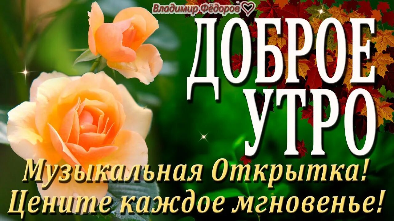 Цените утро. Доброе утро цените каждое мгновение. доброе утро цените каждый. доброе утро цените жизнь каждое мгновение. доброе утро цените каждый прожитый день.