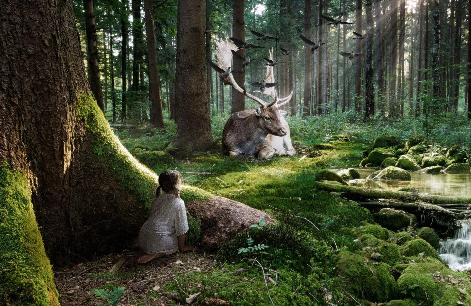 Броселиандский лес Зачарованный лес Моруа. Красивый лес. Сказочный лес. Сказочная природа.