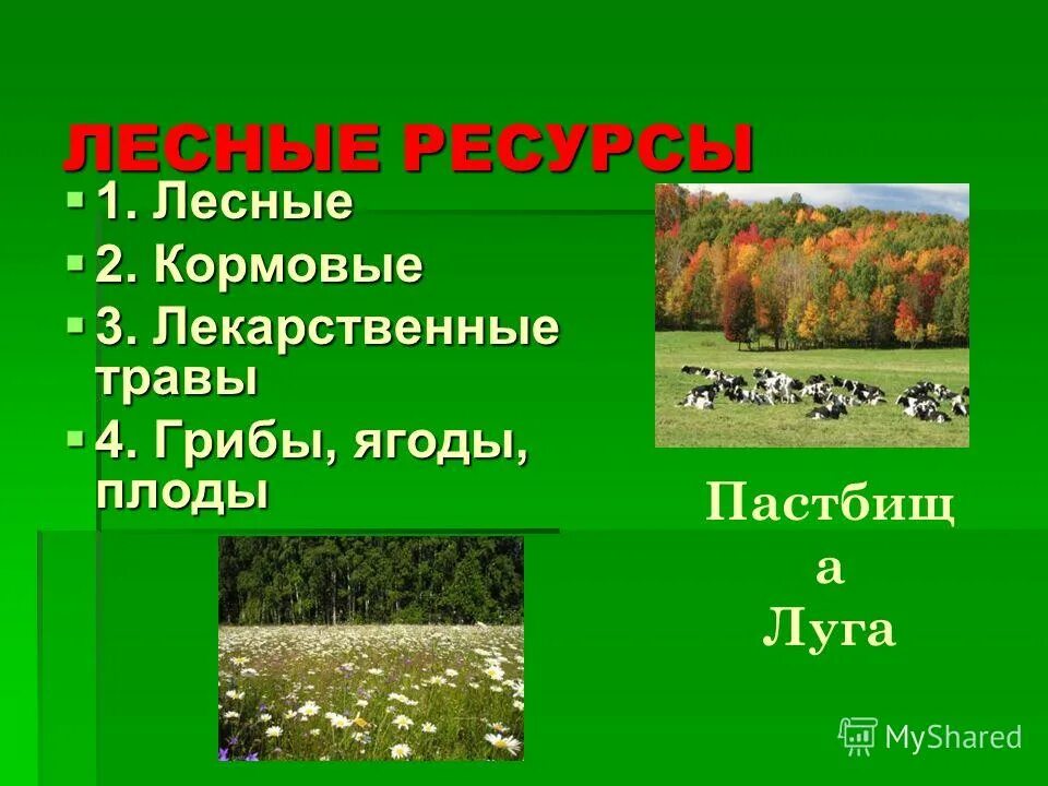 природа россии животные. лесные и животные ресурсы. лесные и животные ресурсы. растительные биологические ресурсы. приокско-террасный заповедник косуля.