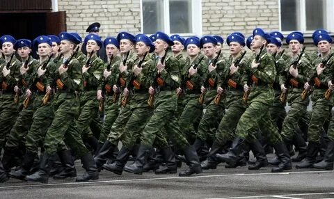 Армейские полки