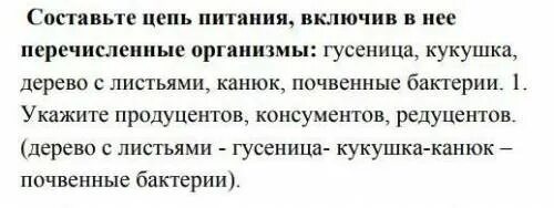 Составьте цепь питания включив в нее. Составь цепь питания включив в нее перечисленные организмы. цепь питания гусеница кукушка дерево с листьями канюк. цепь питания гусеница. почвенные бактерии цепь питания.